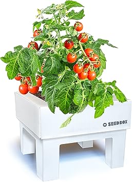 SeedBox SBCUTC - Huerto Urbano de Tomates Cherry: Amazon.es: Jardín