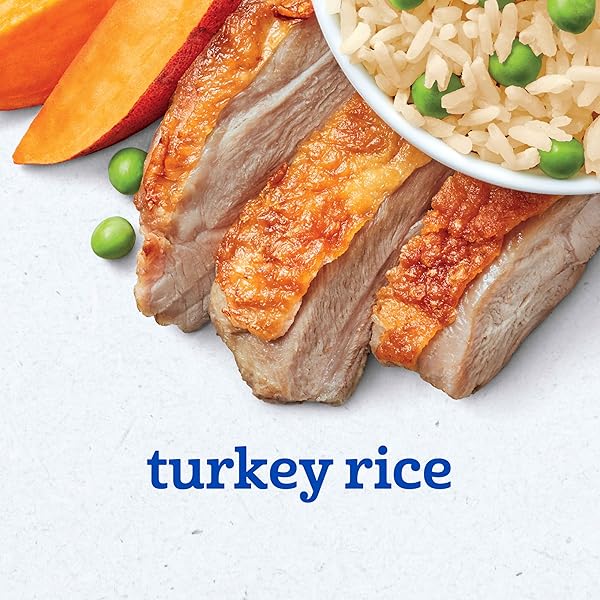 GERBER TURKEY & RICE PUREE BABY FOOD, 4 OZ TUBS, 2 CT