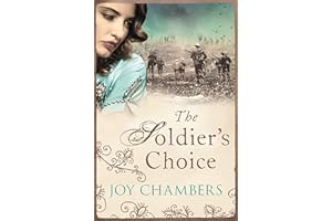 The Soldier's Choice: A poignant World War I novella