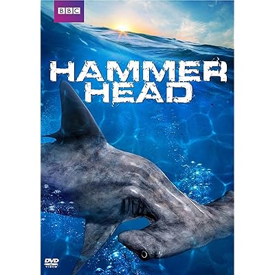 Hammerhead DVD: Action-packed underwater adventure Botswana Ubuy