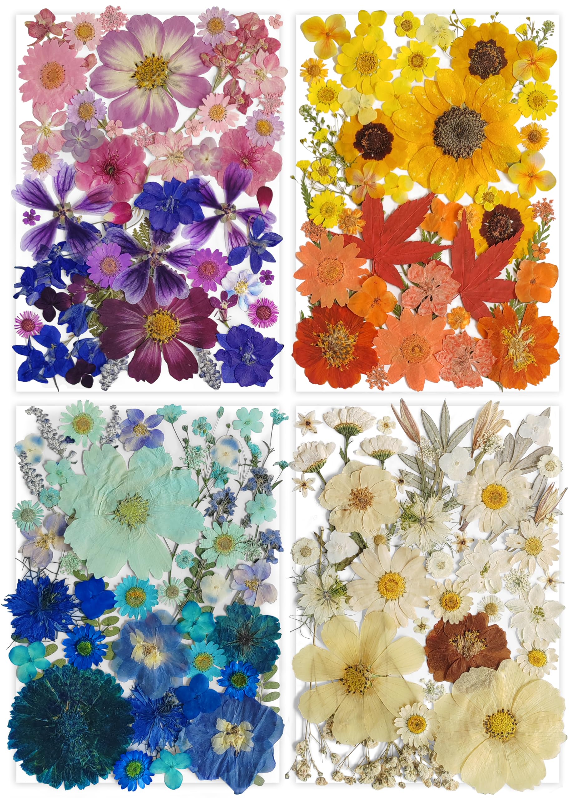 251pcs Large Dried Pressed Flowers Bluk with Butterfly Sticker for Resin Mold,Real Nature Dry Pressing Floral Set for DIY Jewelry Making Nail Card Scrapbook Art Craft Decors Gorgeous
