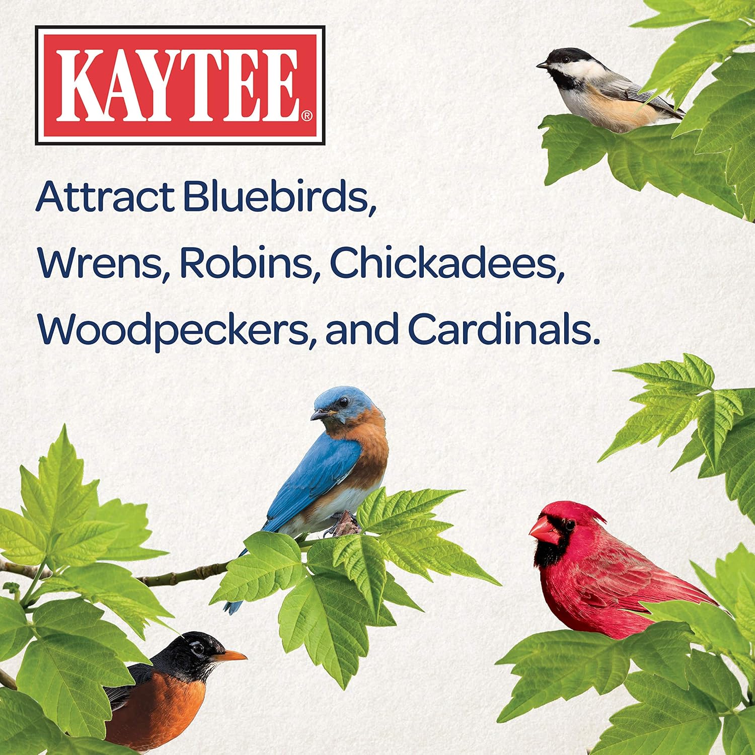 Kaytee Mealworms, 3.5 oz: Pet Supplies