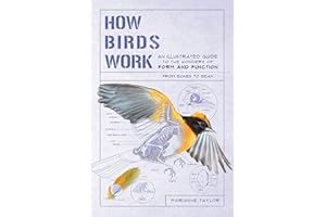How Birds Work: An Illustrated Guide to the Wonders of Form and Function - from Bones to Beak (How Nature Works)