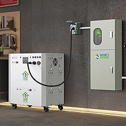 Nature's Generator 30A Inlet Box L14-30P 7500W