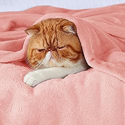 Bedsure GentleSoft Fleece Throw Blanket for Couch