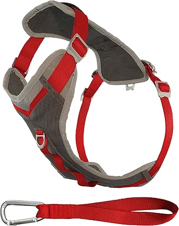 hiking harness