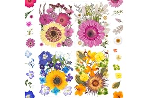 91Pcs Dried Pressed Flowers for Resin Molds,Real Natural Bulk Dry Floral Leaves，Vacuum Packed Dried Flowers for Scrapbooking 