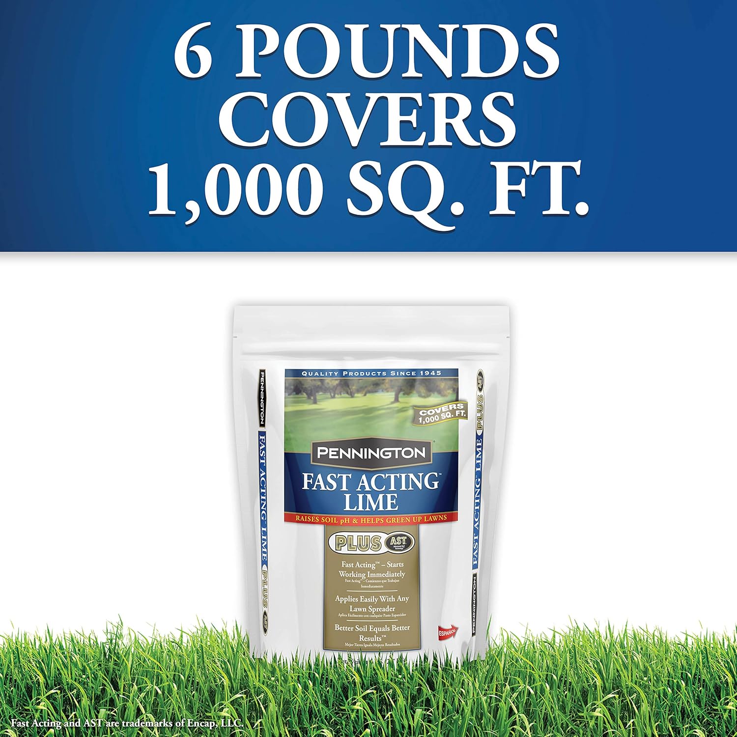 Fast Acting Lime For Vegetable Garden - gardenpicdesign