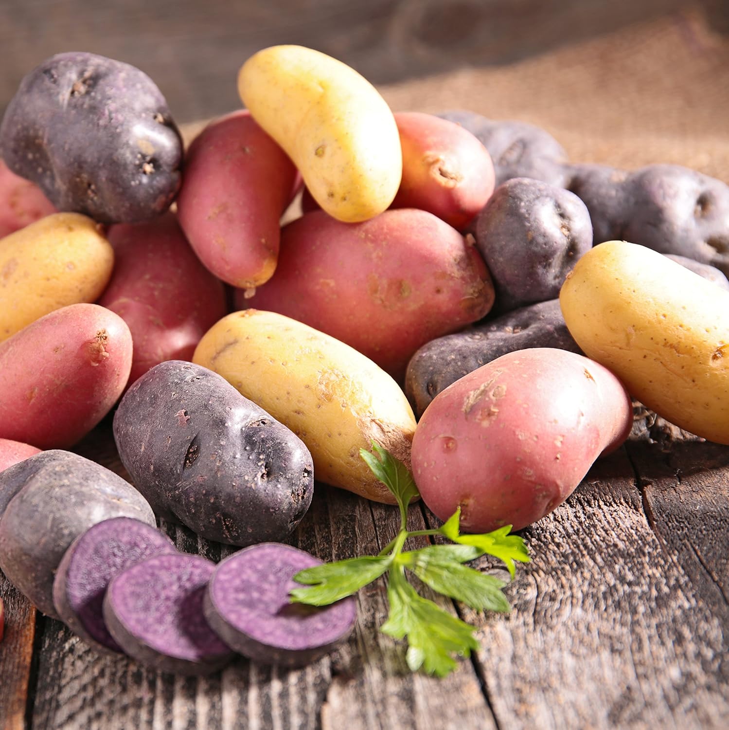 jersey royal seed potatoes for sale