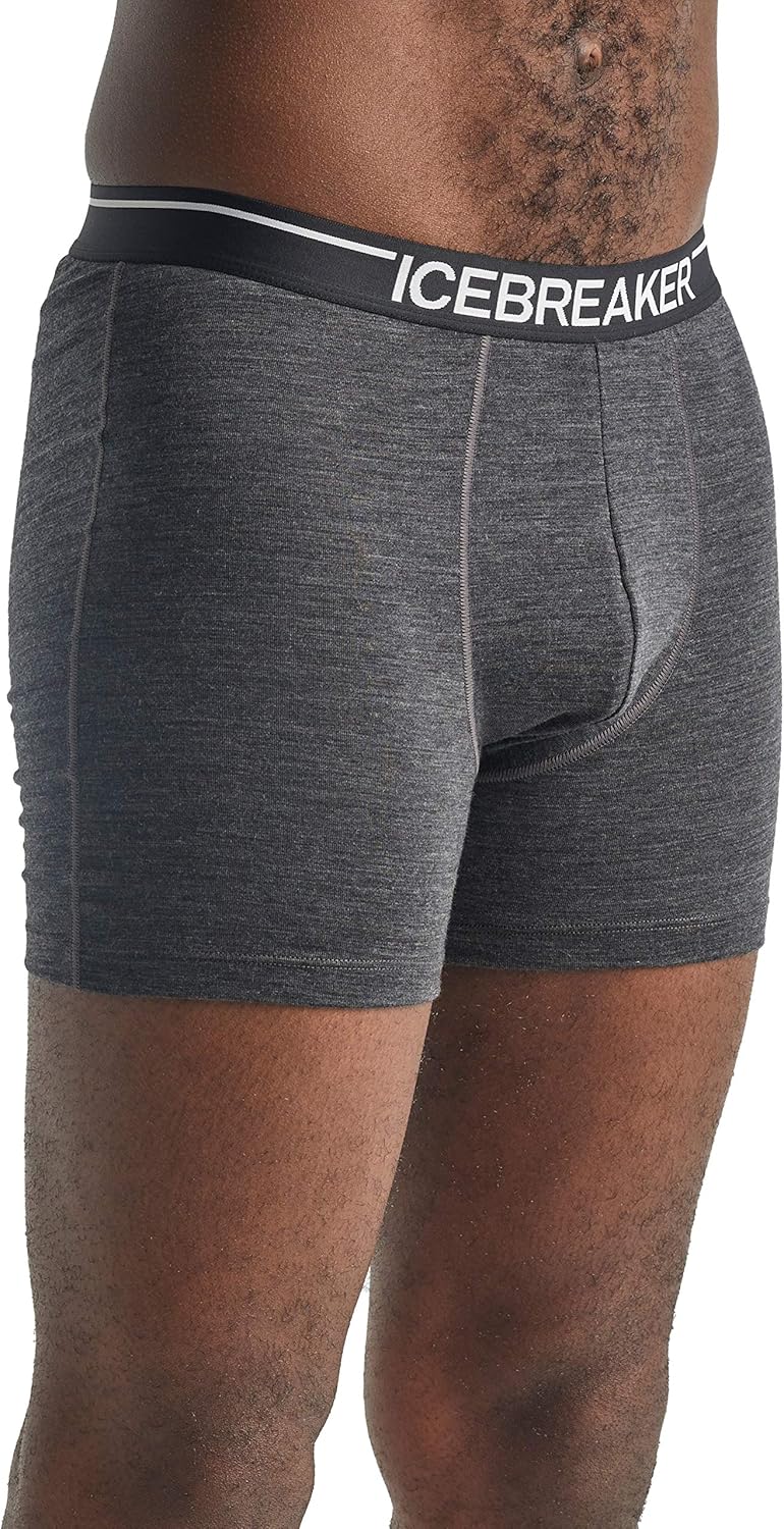 Icebreaker Merino Men's Anatomica Boxer Underwear: Clothing