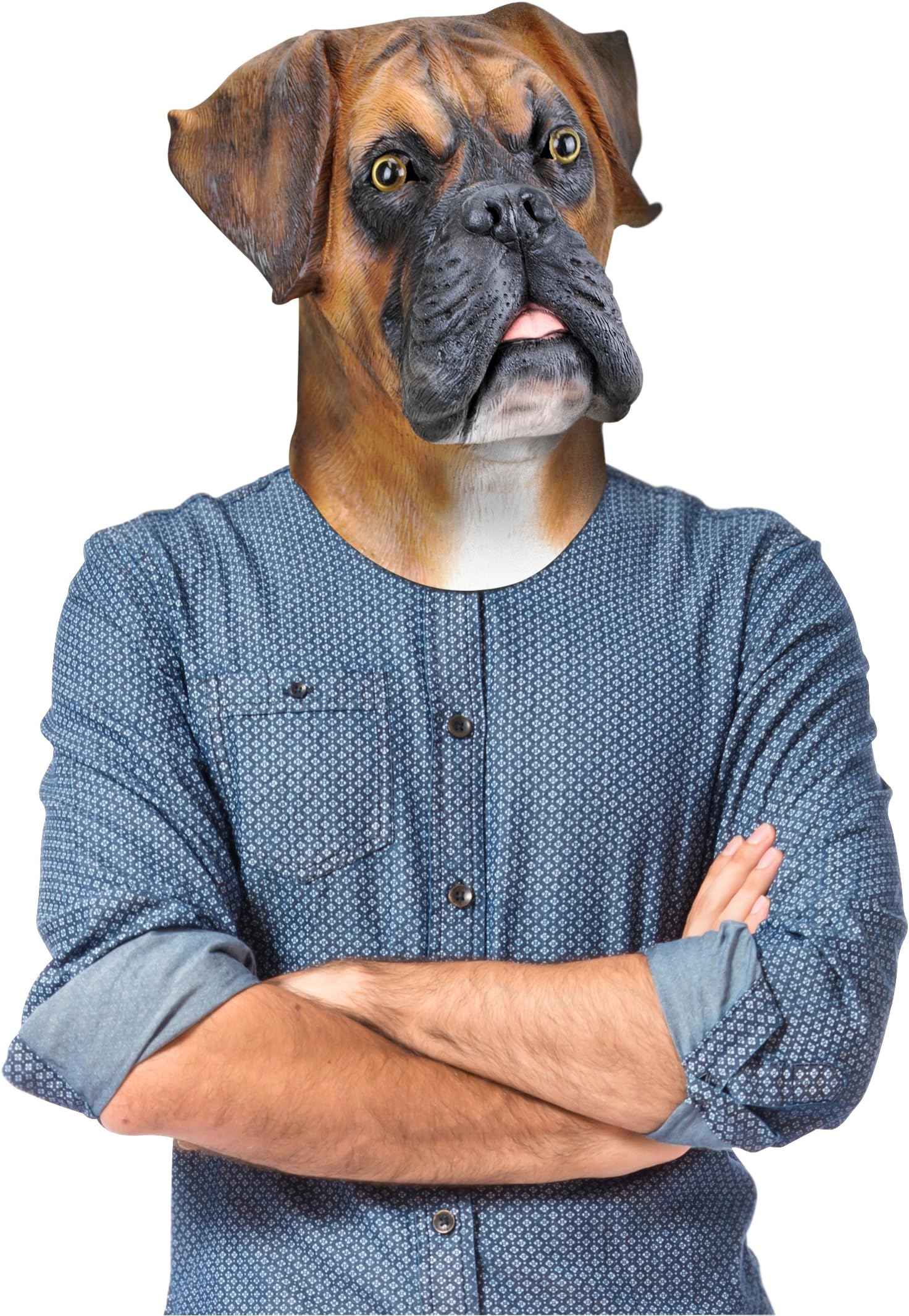 BigMouth Barry The Boxer Mask