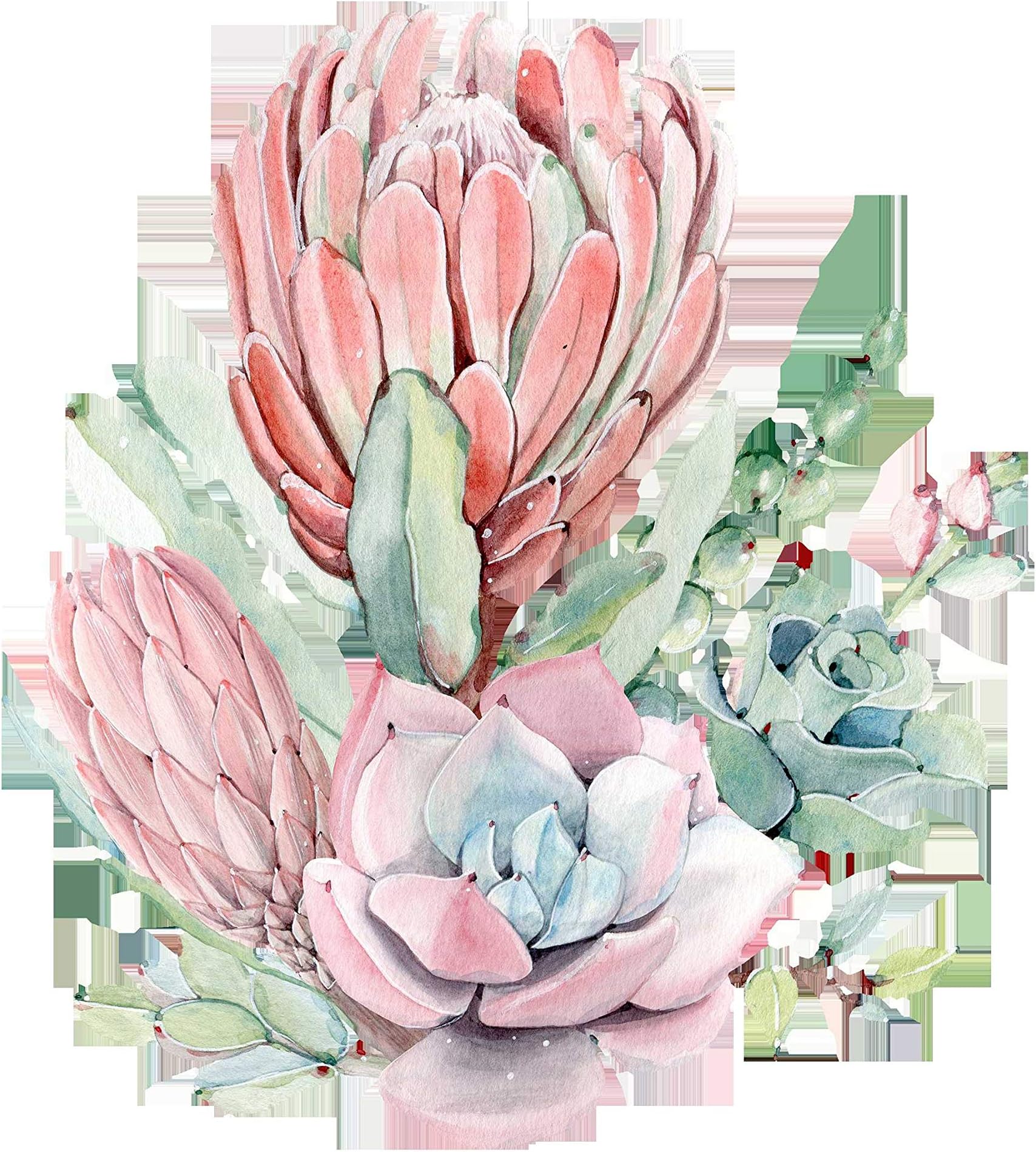 Puzzle 1500 Piece for Adult Hand Painted Succulents Png51346 Decorative Paintings