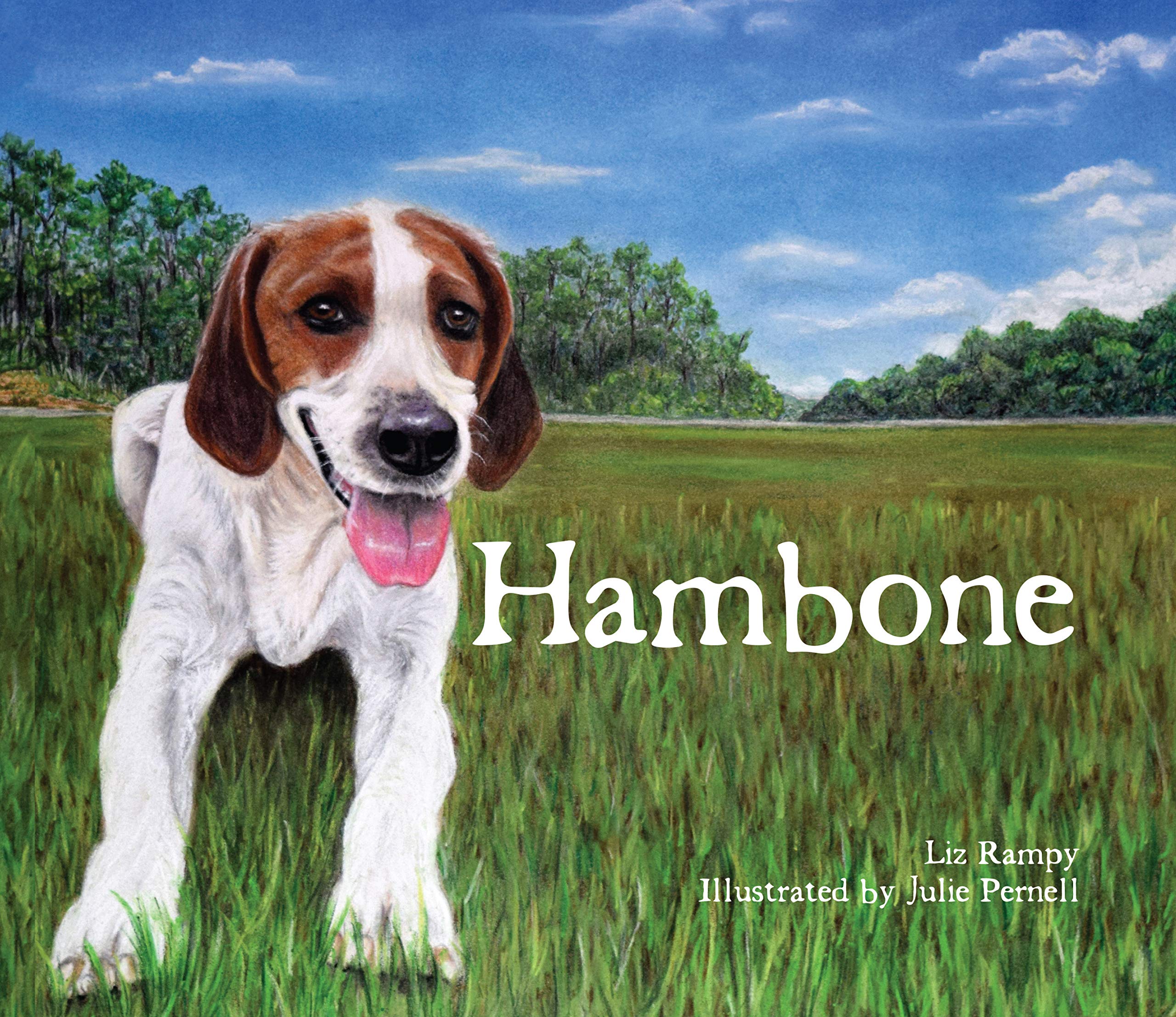 is a ham bone good for a dog