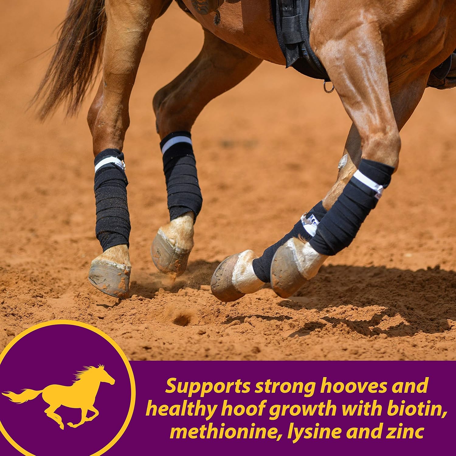Horse Health Joint Combo Hoof & Coat, convenient 3-in-1 supplement for complete joint, hoof and coat care, 8 pound : Pet Supplements And Vitamins : Pet Supplies