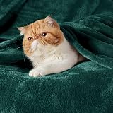 Bedsure Fleece Blanket 220x240 cm Forest Green Soft Warm Throw view 2