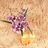 Aspire Homeware Beige Fluffy Rug 200x290 cm Large Shaggy Plush Carpet view 9