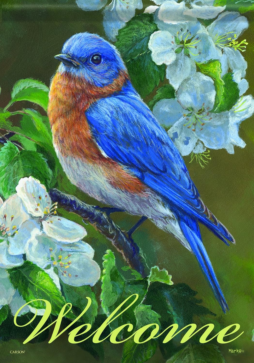 Best Carson Garden Flag Cemetery