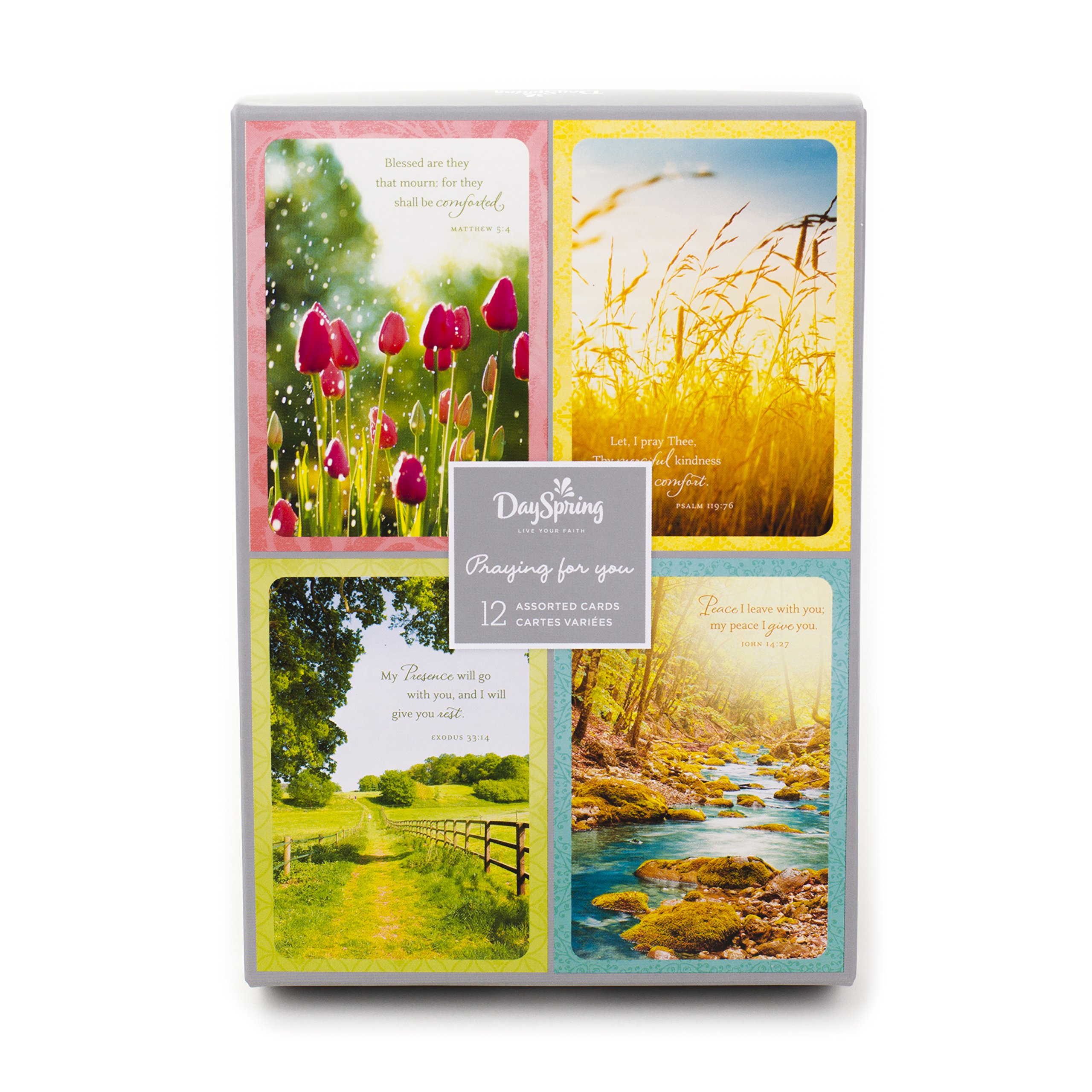 Pack of 48 Religious All Occasion, Boxed Enclosure Cards 4