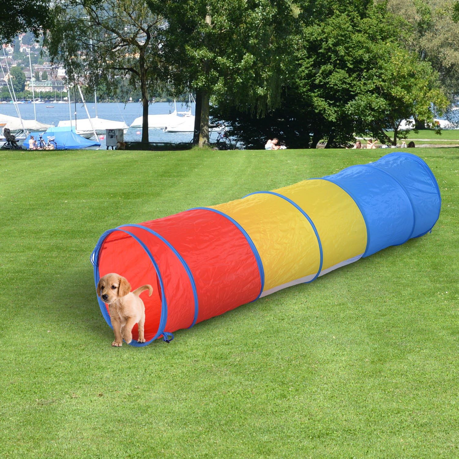 pop up tunnel for dogs