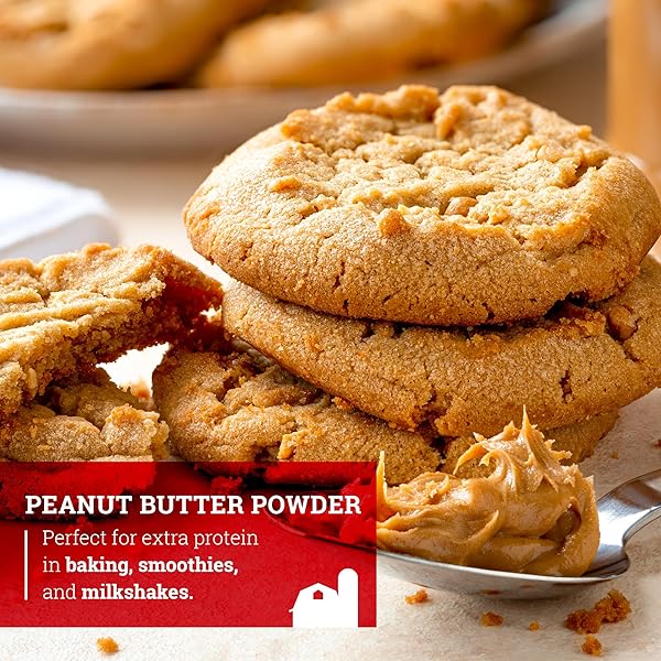 HOOSIER HILL FARM PEANUT BUTTER POWDER, 1LB (PACK OF 1), NO ADDITIVES, 100% PEANUT POWDER, 8G OF PROTEIN PER SERVING