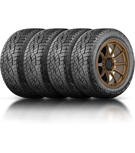 Amazon.com: Bridgestone Blizzak DM-V2 Winter/Snow SUV Tire 265