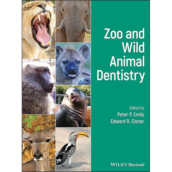 洋書 zoo and wild animal medicine 4 Zoo & Wild Animal Medicine: Current Therapy 4 by Murray E