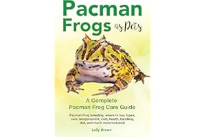Pacman Frogs as Pets: Pacman Frog breeding, where to buy, types, care, temperament, cost, health, handling, diet, and much mo