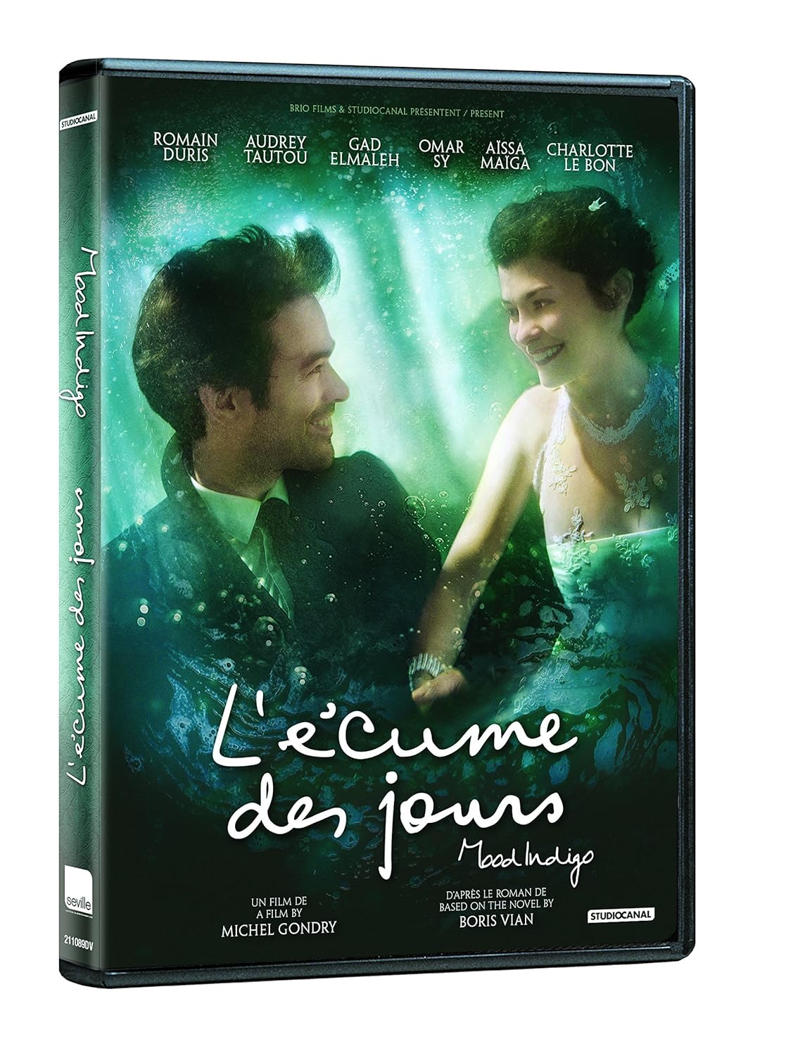 Mice natural behaviour picture