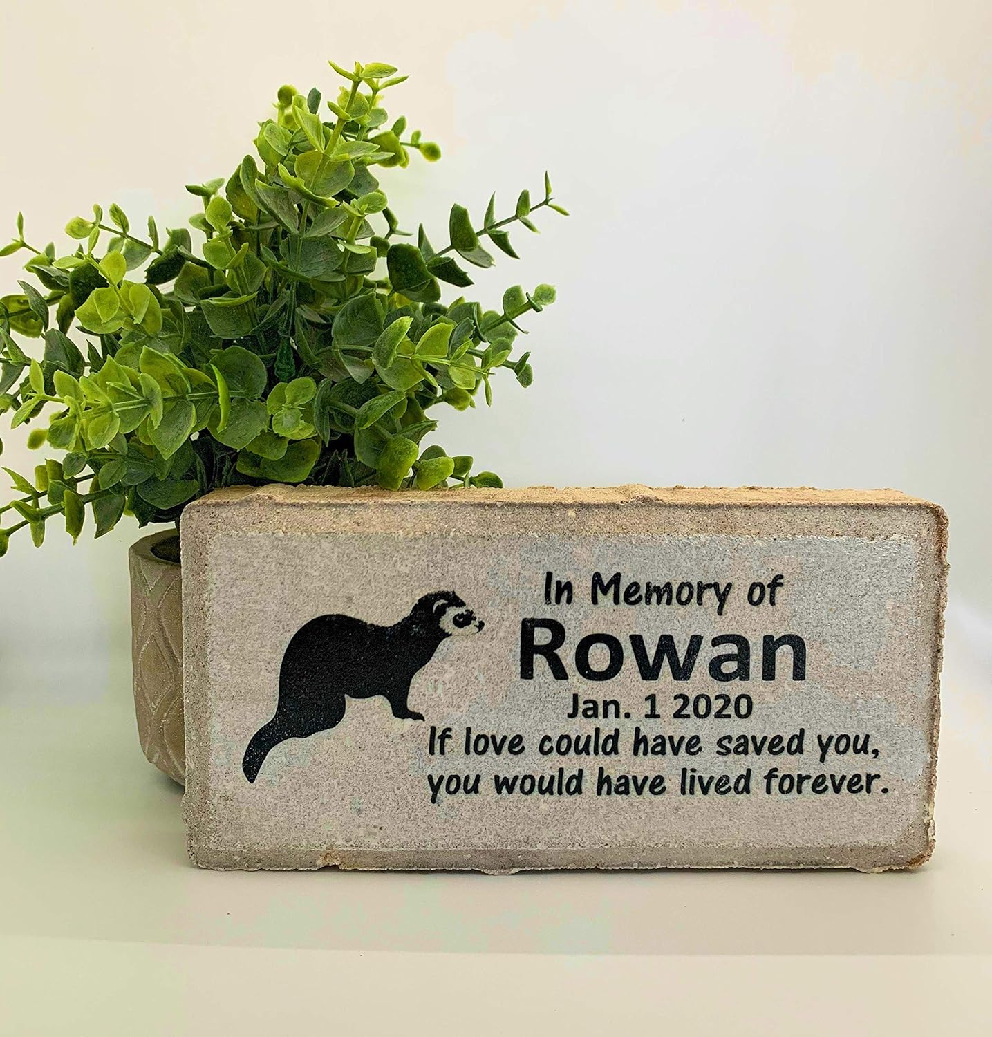 ferret memorial