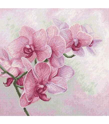 Kit Point De Croix Adulte Luca-S - Motif 'Rosée Du Magnolia' Doré, 27x20 Cm, 57 Couleurs, Fils 100% Coton