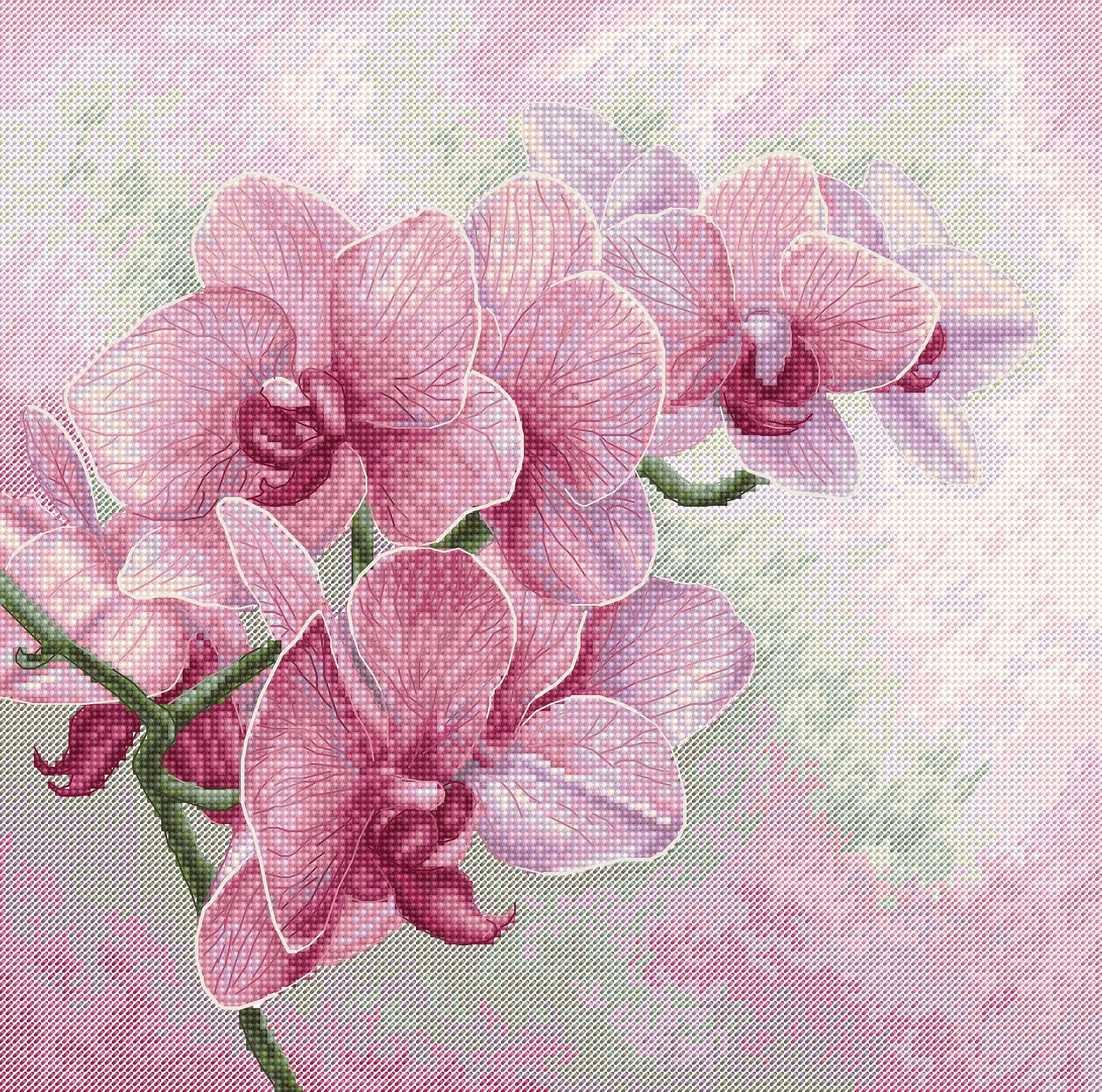 Luca-S Counted DIY Cross Stitch Kit for Adults, Graceful Orchids B7009, Embroidery & Needlecraft Kit