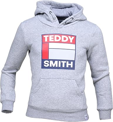 Pull teddy smith gris Clearance