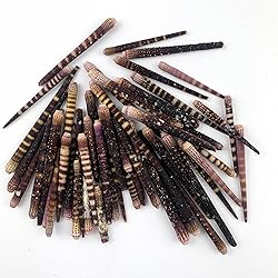 Heyiwell 50PC Sea Urchin Spines,Tiger Sea Urchin