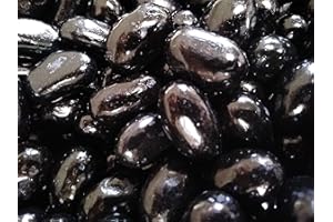 EMPORIUM CANDY TASTY TREATS FOR THE TUMMY Jumbo Licorice Jelly Beans - 1 lb of Fresh Delicious Extra Large Black Jelly Beans