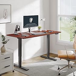 FLEXISPOT E6 Dual Motor 3 Stages Standing Desk