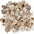 Sola Wood Flower - Barkie Smalls- Assortment