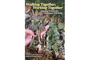 Walking Together, Working Together: Engaging Wisdom for Indigenous Well-Being (Patterns of Northern Traditional Healing Serie