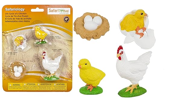 Buy Safari Ltd Life Cycle Of A Chicken Online At Low Prices In India Amazon In