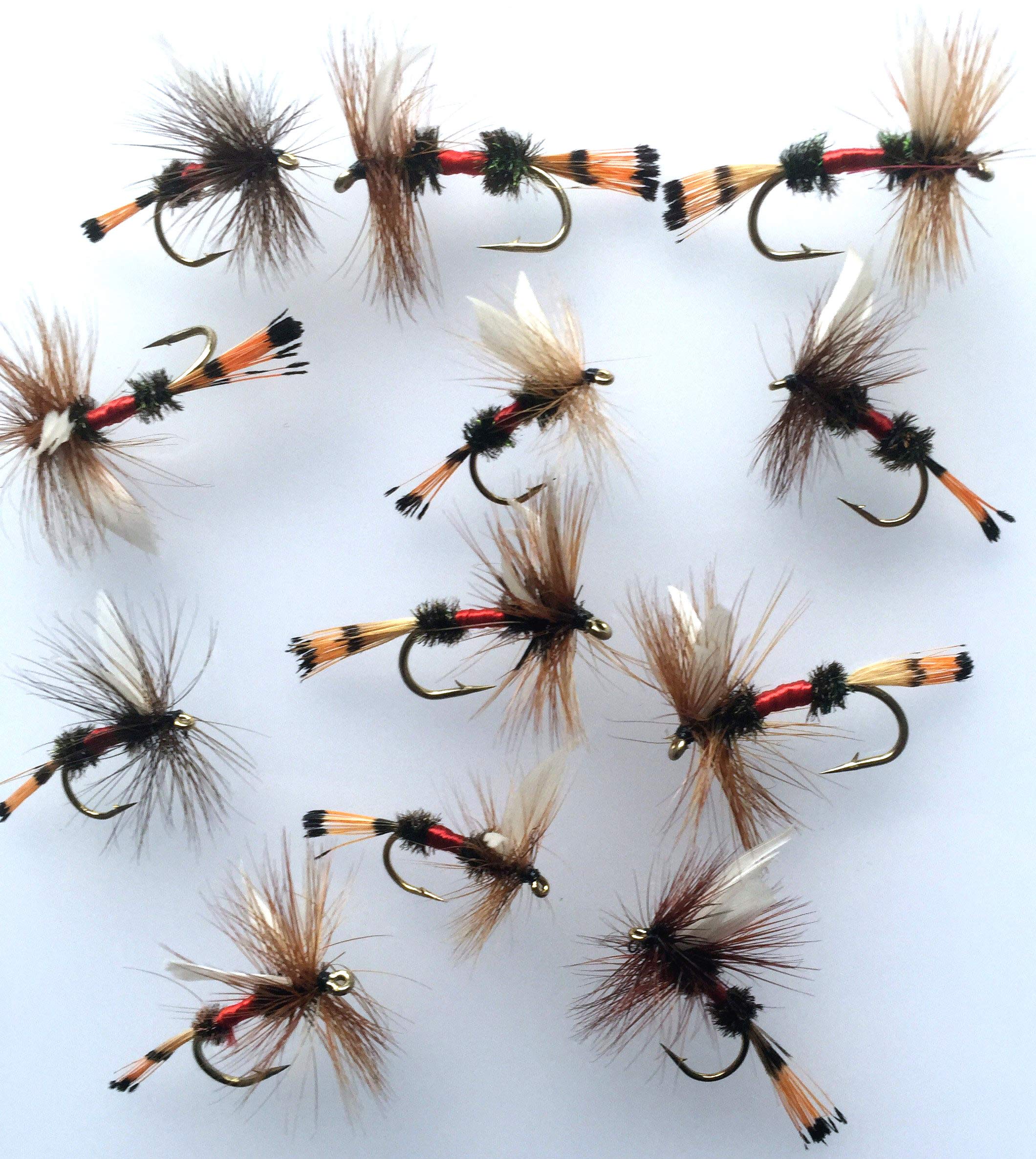 BestCity Fly Fishing DRY ROYAL COACHMAN Set of 16 trout flies with Clip shut Fly Box