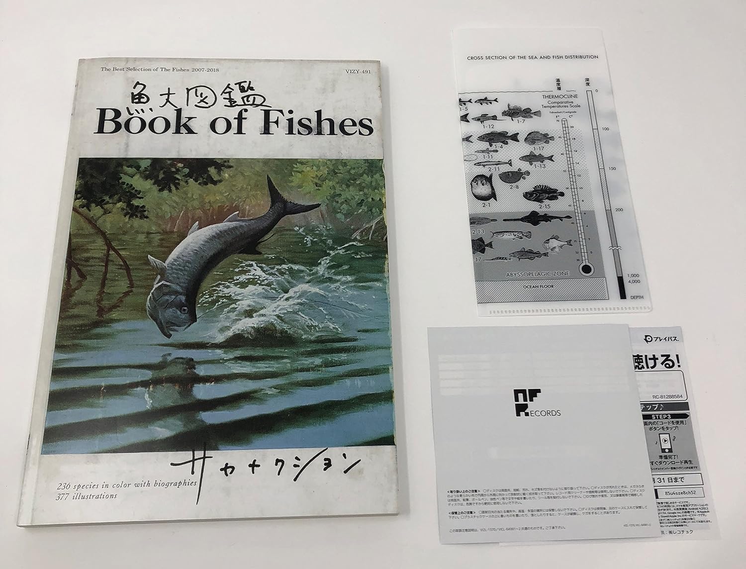 激安大特価 サカナクション 魚大図鑑 魚図鑑 完全生産限定盤プレミアムbox 邦楽 Csjla Pe 激安大特価 サカナクション 魚大図鑑 魚図鑑 完全生産限定盤プレミアムbox 邦楽 Csjla Pe
