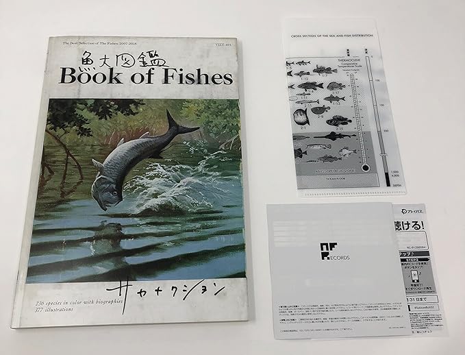 即日出荷 サカナクション 魚図鑑 安い購入 Www Globaldentalcentre Org