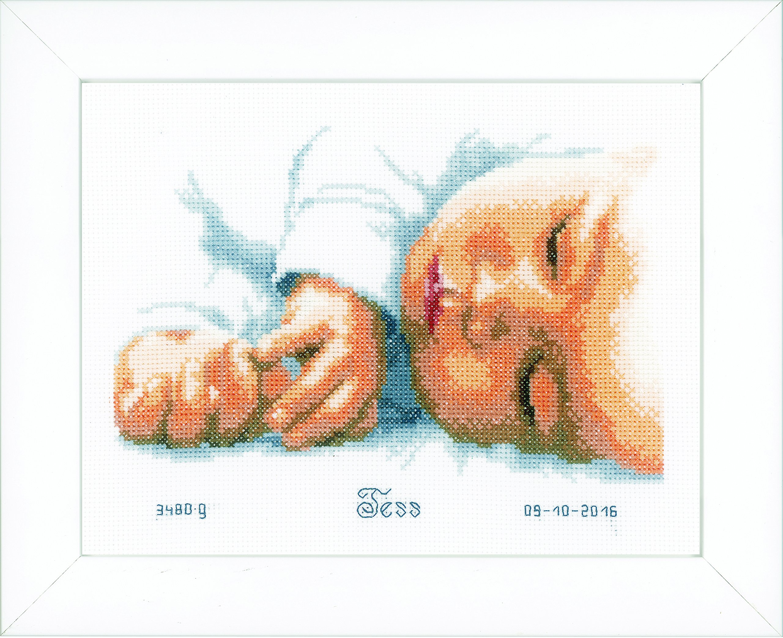 Vervaco Birth Record New-Born