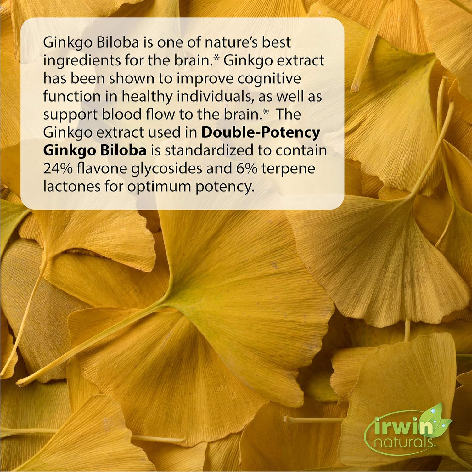 Irwin Natural Double-Potency Gingko Biloba 240mg Extra Strength Brain Health Supplement - Enhance Memory, Mental Focus, Alertness, Concentration & Herbal Energy Booster - 60 Liquid Softgels: Health & Personal Care