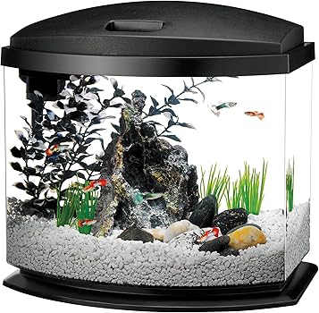 Aqueon Led Betta Fish Tank