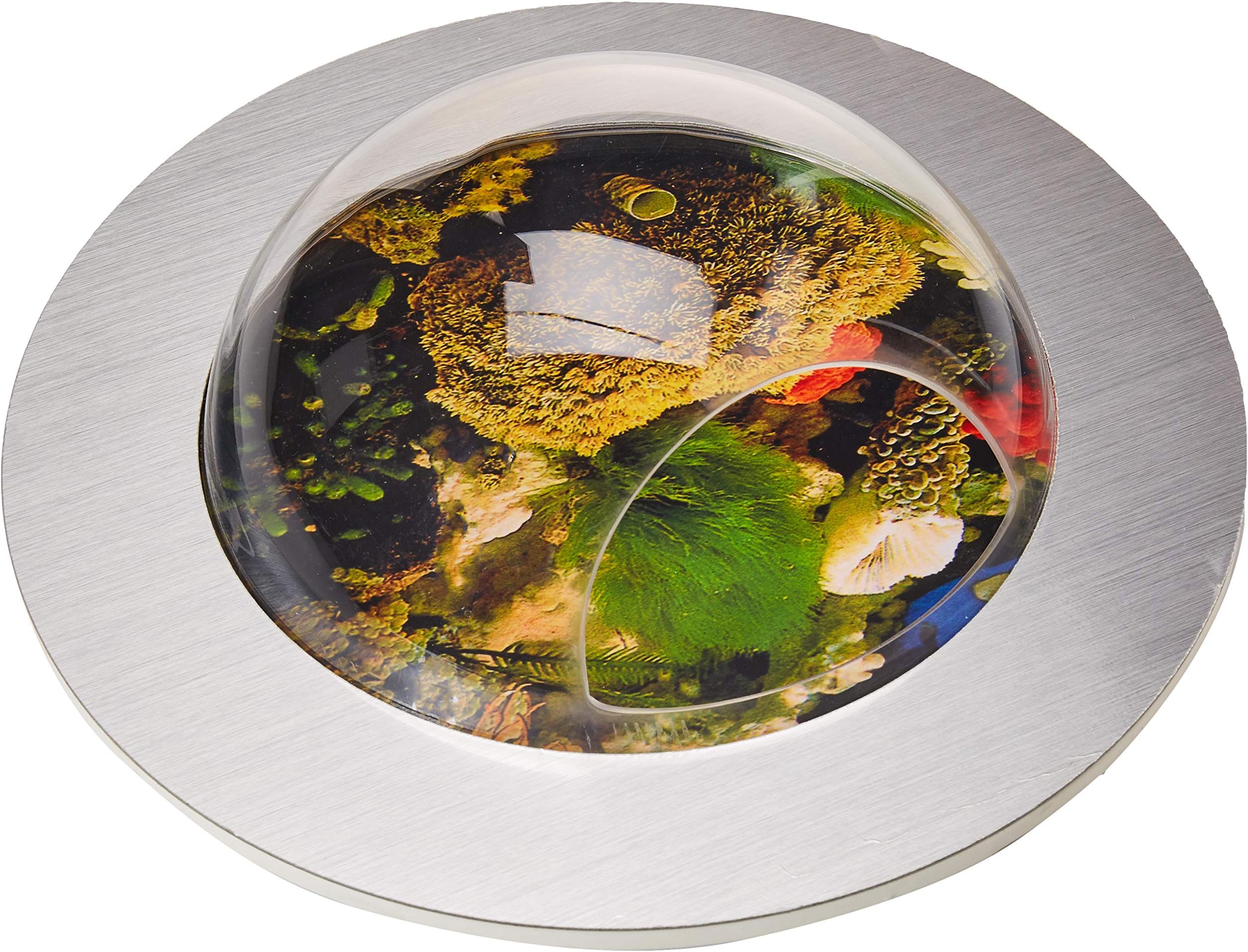 Fish Bubbles Brushed Aluminum Fish Bubble with Deluxe Wall Mounted Fish Tank