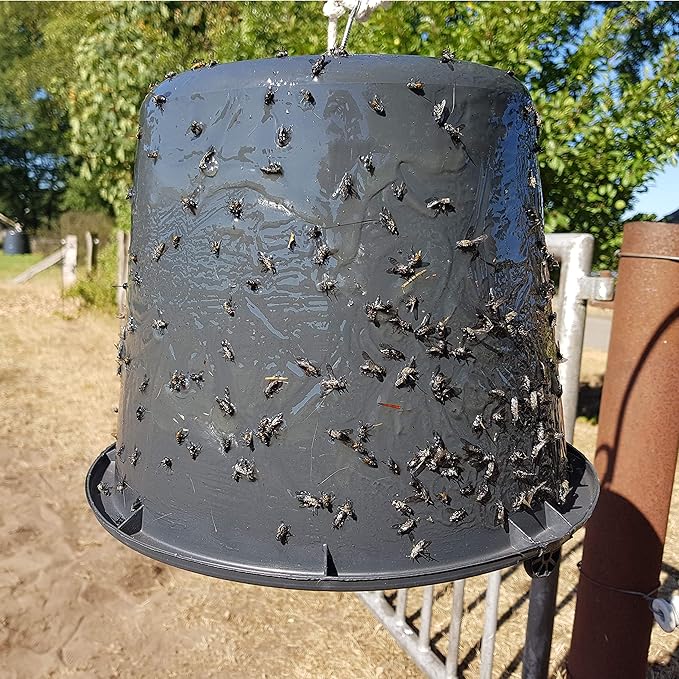 STICKY TRAP HORSE FLY GLUE (3.5 Litres) Amazon.co.uk Pet Supplies