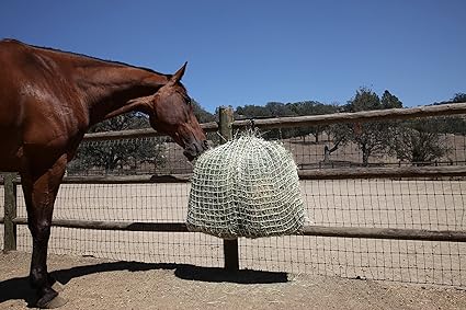 Amazon Com Kensington Freedom Feeder Full Day Horse Feeder