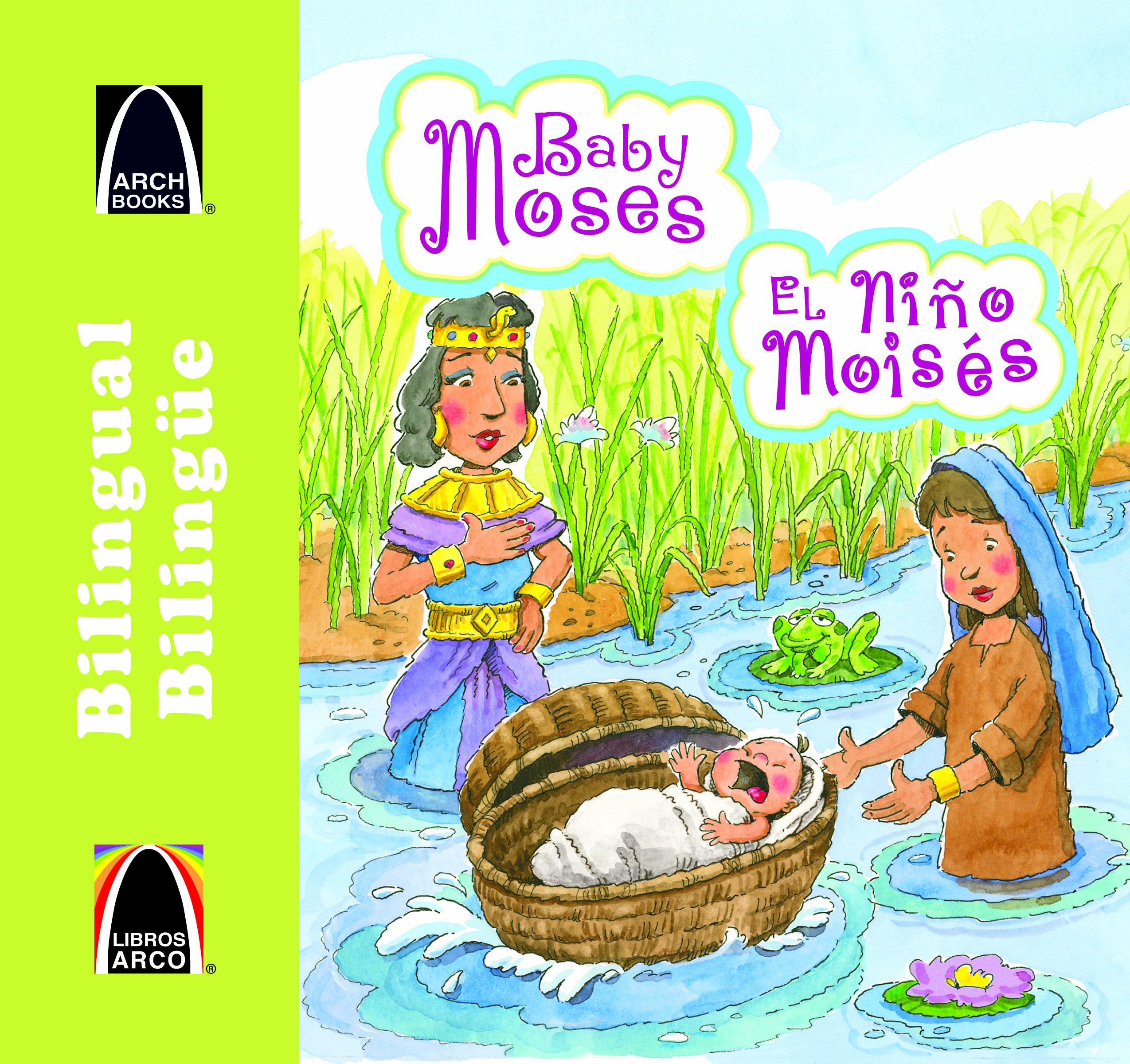 spanish moses basket