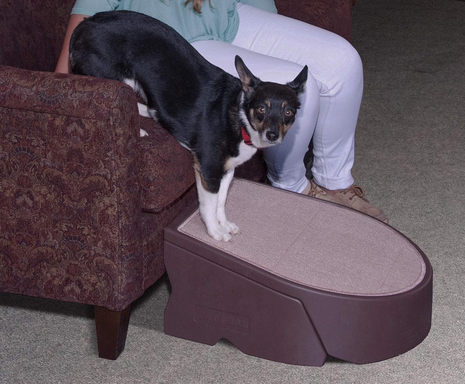 pet gear stramp stair and ramp combination