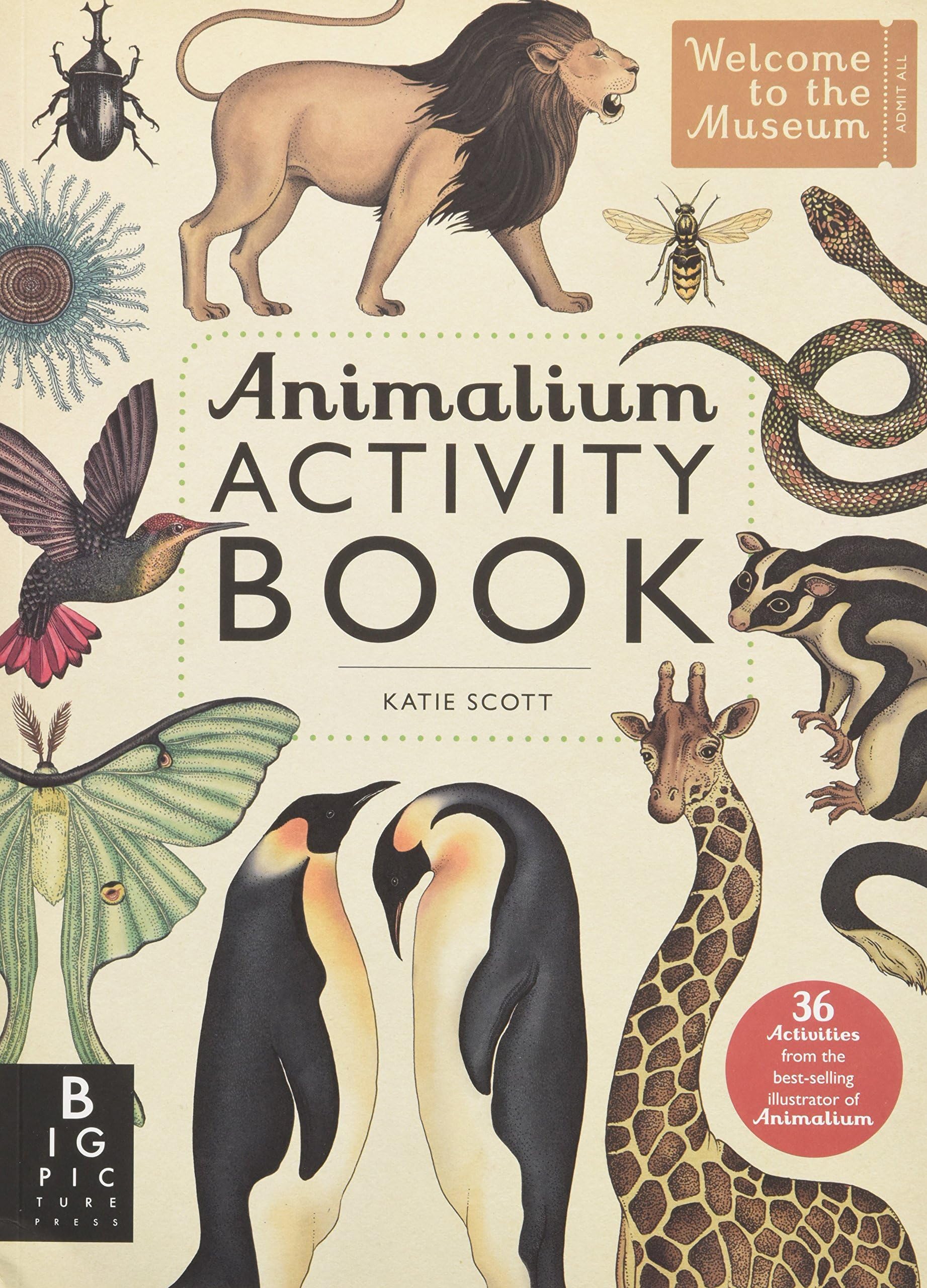 Animalium Activity Book (Welcome to the Museum Activity)